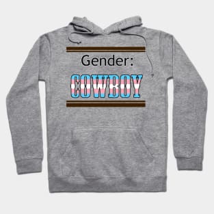 Gender: COWBOY - Trans Colors Hoodie